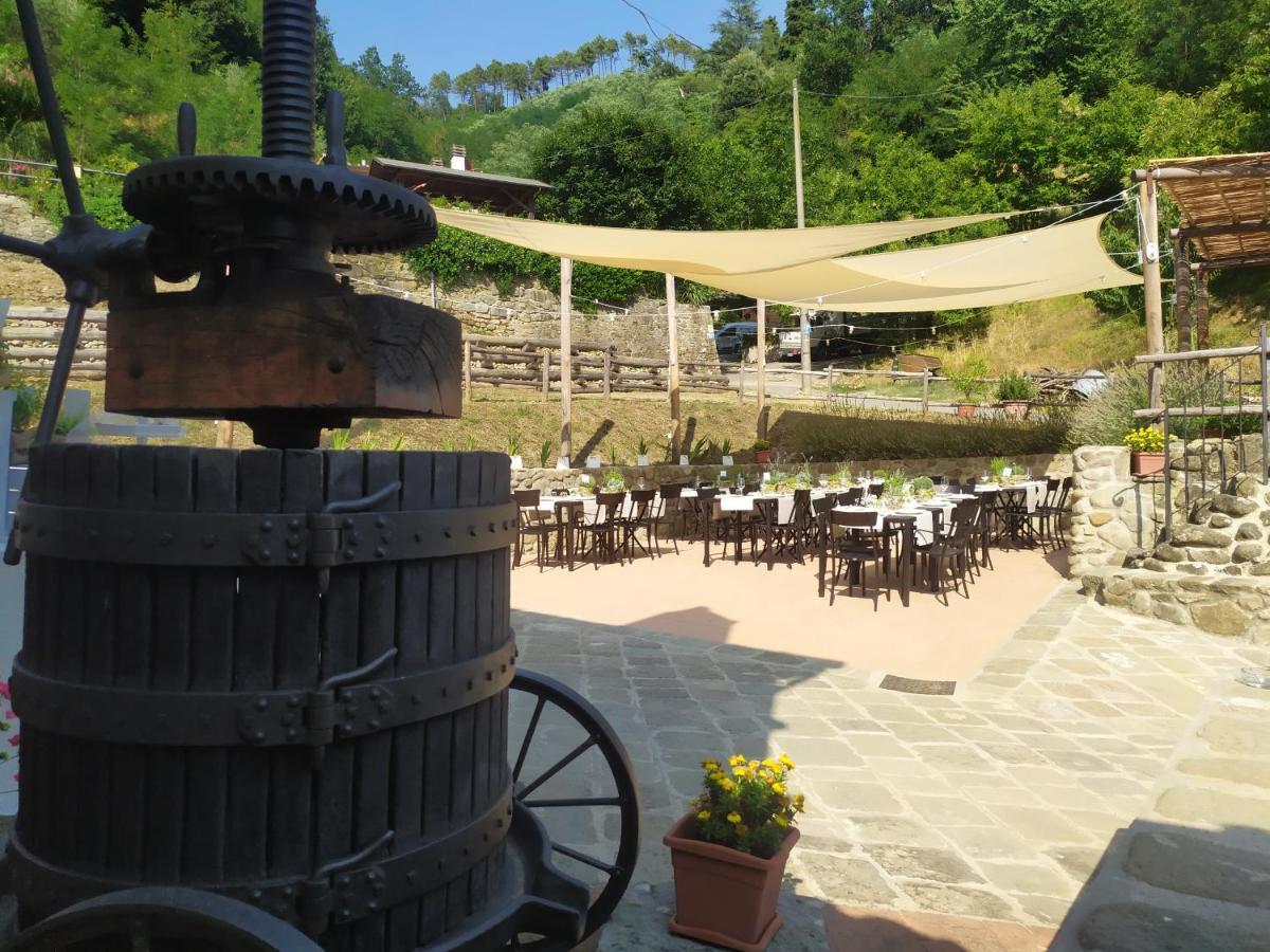 Villa Il Mulino Di Celle Pistoya Exterior foto